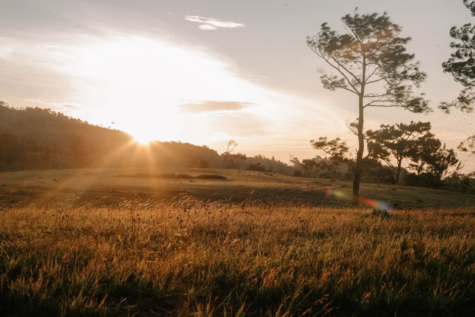 Where to find the best parkrun near you