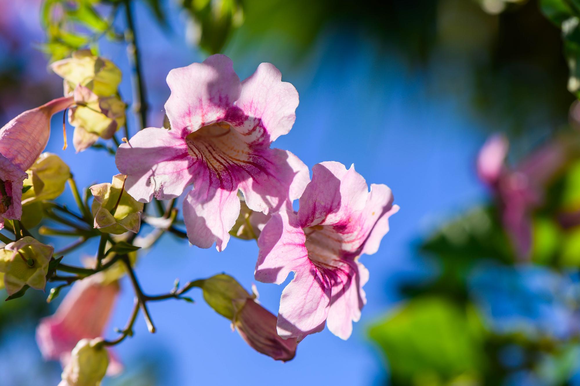 Childcare and Kindergartens in Toowoomba 2026, How to Find the Best Childcare Near You