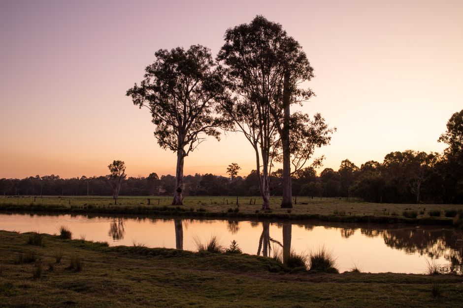 Wedding Venues in Toowoomba 2026, Top Venue Types, Costs, Wedding Photographer Prices, and How to Plan Your Toowoomba Wedding